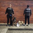 La droga fue encontrada en bolsas de paja toquilla y en un cartón de televisor.