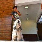 Los perros se ven particularmente afectados por los fuertes ruidos.