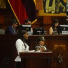 Diana Salazar, fiscal general, reapareció en la Asamblea y en redes dijeron que "viene recargada".