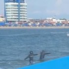 Sicarios dispararon varias veces en el mar.