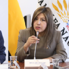 El correísta, Fernando Cedeño, de la Comisión de Justicia, y la oficialista, Inés Alarcón, de la mesa de Seguridad, se disputan la fiscalización de diferentes denuncias contra el Gobierno.