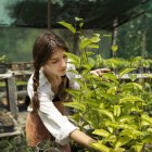 ¿Quieres cultivar y relajarte sin salir de casa? Construye tu invernadero casero con estos consejos prácticos