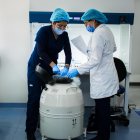 Parte del proceso consiste en solidificar los óvulos a temperaturas ultra bajas.