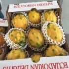 Ecuador publicita en feria sus frutas como la pitahaya.