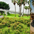 La idea de hacer un skatepark promueve la utilización de áreas verdes en dos espacios del ingreso a Samborondón.