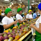 EE.UU. elevó del 10 al 15 % el arancel recíproco para los productos de Ecuador que importe.
