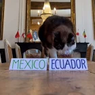 Momento exacto en el que Nimbus se acerca al recipiente de Ecuador y desata la euforia de sus seguidores
