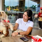 Cafeterías, restaurantes y comercios amplían sus espacios para recibir a las mascotas.