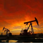 La OPEP estimula a la producción del petróleo.