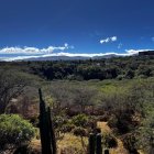 El parque Los Algarrobos es un bosque seco nativo que resiste al crecimiento habitacional del Valle de Tumbaco.