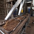 En la planta de Bioconversión, en Guayaquil, la cáscara de banano se mezcla con restos de cacao, leche y cerveza para alimentar a las larvas de mosca soldado negra.