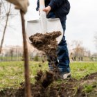 La reforma establece nuevas disposiciones para incorporar la educación ambiental y el desarrollo sostenible en el sistema educativo ecuatoriano.