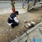 El caso se difundió en redes sociales de la alcaldesa.
