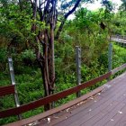 La isla Santay es un ecosistema tropical de la costa ecuatoriana.