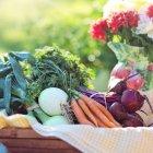 Una alimentación saludable requiere, entre otras cosas, la ingesta de frutas y vegetales. Sin embargo, también es necesario saber de dónde vienen los alimentos.