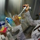 Linda Guamán participa en una investigación que busca equiparar el olor y sabor de la carne vegetal con la animal.