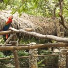 Hasta septiembre de 2018, los agentes de la UPMA han realizado 437 rescates en la Zona 8 que comprende Guayaquil, Durán y Samborondón.