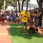 Desde el domingo 20 de octubre, los malecones permitirán el ingreso de las mascotas