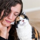 Los dueños de los felinos tuvieron que realizar diferentes test.