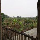 En Jujan, Guayas, llovió ligeramente