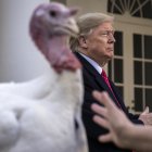 WASHINGTON, DC - NOVEMBER 26: U.S. President Donald Trump stands next to Butter, the National Thanksgiving Turkey, after giving him a presidential pardon during the traditional event in the Rose Garden of the White House November 26, 2019 in Washington, DC. The turkey pardon was made official in 1989 under former President George H.W. Bush, who was continuing an informal tradition started by President Harry Truman in 1947. Following the presidential pardon, the 47-pound turkey which was raised by farmer Wellie Jackson of Clinton, North Carolina, will reside at his new home, "Gobbler"s Rest," at Virginia Tech.   Drew Angerer/Getty Images/AFP