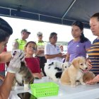 Los cachorros que nazcan en la maternidad serán dados en adopción.