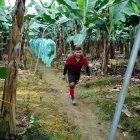 Hasta octubre de este año, se vendieron 293"821.827 de cajas