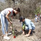 Más de 300 personas sembraron una variedad de especies de árboles nativos.