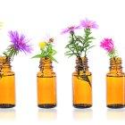 Quienes traten pacientes con esta terapia deben estar certificados por el Centro de Bach de Inglaterra.