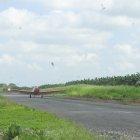 La fumigación contra la sigatoka negra es aérea