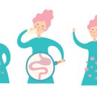 Favorecen la flora intestinal.