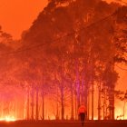 Los incendios han arrasado una superficie de más de 8 millones de hectáreas, equivalente a la de Irlanda.