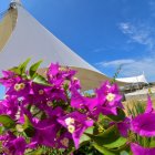 Una de las dos membranas tensadas que luce el Malecón, todavía en construcción