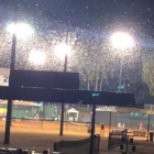Foto compartida en Twitter por Mario Martire: Humedad y nubes de grillos, en una cancha de Guayaquil.