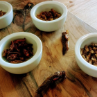 Grub Kitchen es el primer restaurante de insectos comestibles de Gran Bretaña.