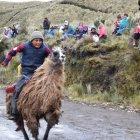 Los niños demuestran sus mejores dotes de jinetes al momento de competir, con sus pies guían a los camélidos para llegar a la meta.