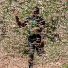 Una plaga de langostas arrasa con todo lo que se cruza por su paso en Kenia.