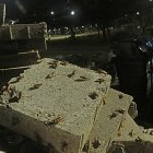 Hecho. Este es el panorama que se observa en el Parque Samanes, norte de Guayaquil.