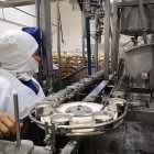 Las plantas empacan valor agregado:  latas y pouch.