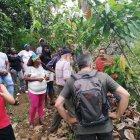 Asesorías. Los técnicos visitan las fincas para impartir conocimientos sobre las buenas prácticas agrícolas.