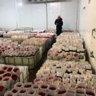 Envíos. En la hacienda Pambaflor, de la provincia de Cotopaxi, prevén terminar con los despachos este viernes.