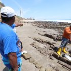 Las olas del sector se han vuelto famosas entre los surfistas.
