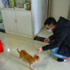 PEKÍN. Una persona trata de alimentar a una mascota cuyos dueños no llegan a casa desde hace varias semanas.