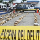 Alcaloide. La droga fue hallada en el interior de dos contenedores.