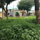 La maleza cubre gran parte de varios parques de Guayacanes.