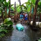 En 2019 se inundaron plantaciones.