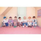 La  boy band surcoreana fue formada por Big Hit Entertainment en 2013.