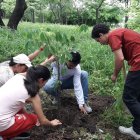 Los habitantes de Samanes 1 hacen orificios para realizar la siembra de árboles