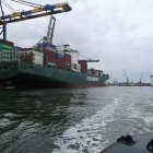 El producto ecuatoriano compite con dificultad en el mercado internacional, debido a su alto costo.