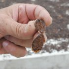 El precio no para de subir.